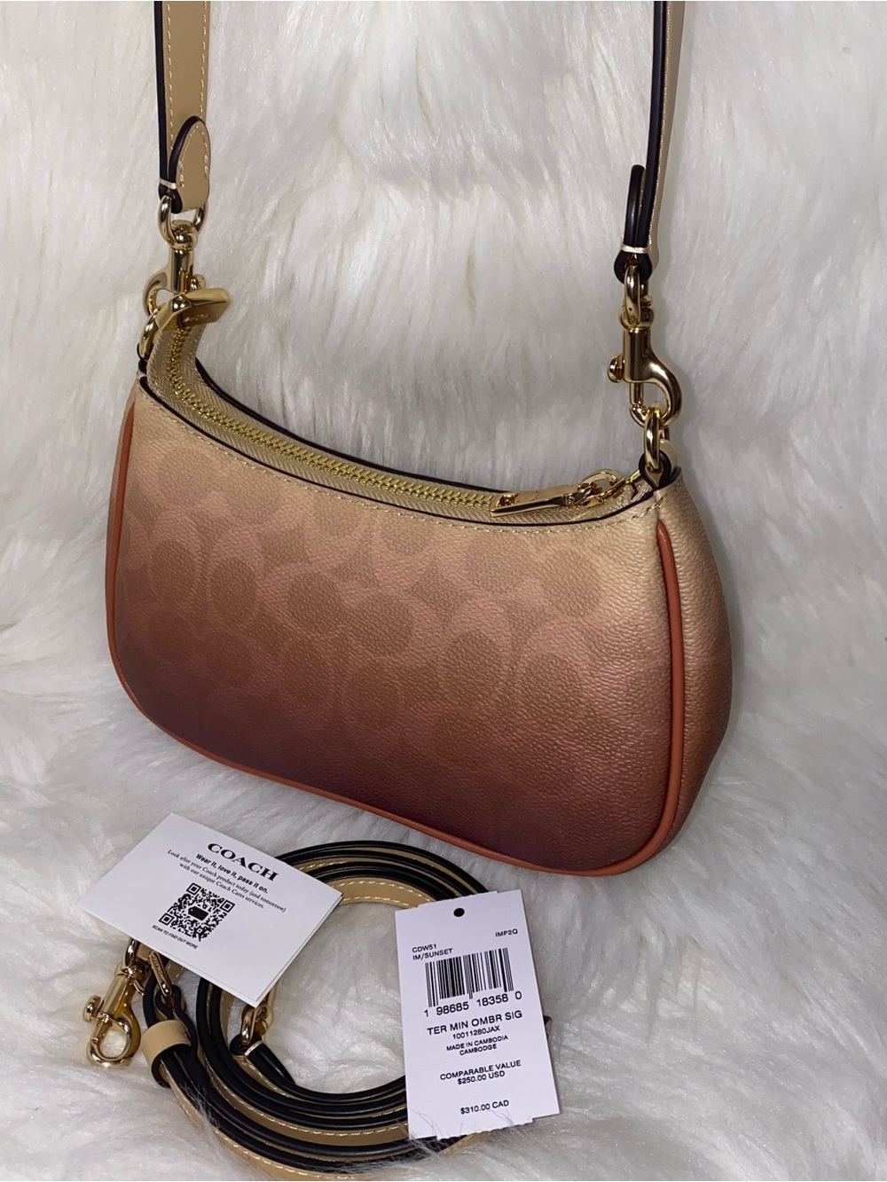 Coach purse Teri Mini Crossbody Bag In Ombre Signature Canvas New - Picture 4 of 15